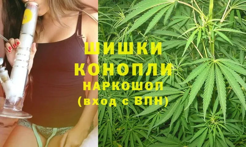 Канабис OG Kush  Донецк 